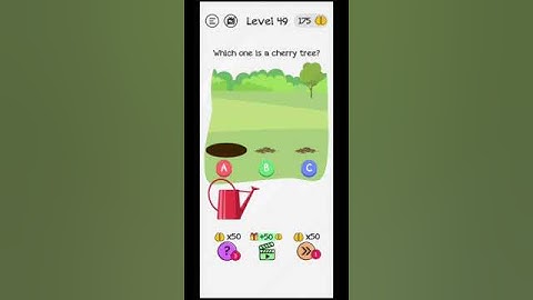 Braindom level 49 | Flare Games XT