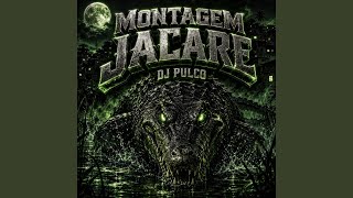 MONTAGEM JACARE
