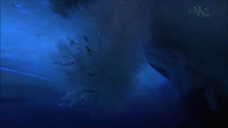 Vangelis - Movement 1