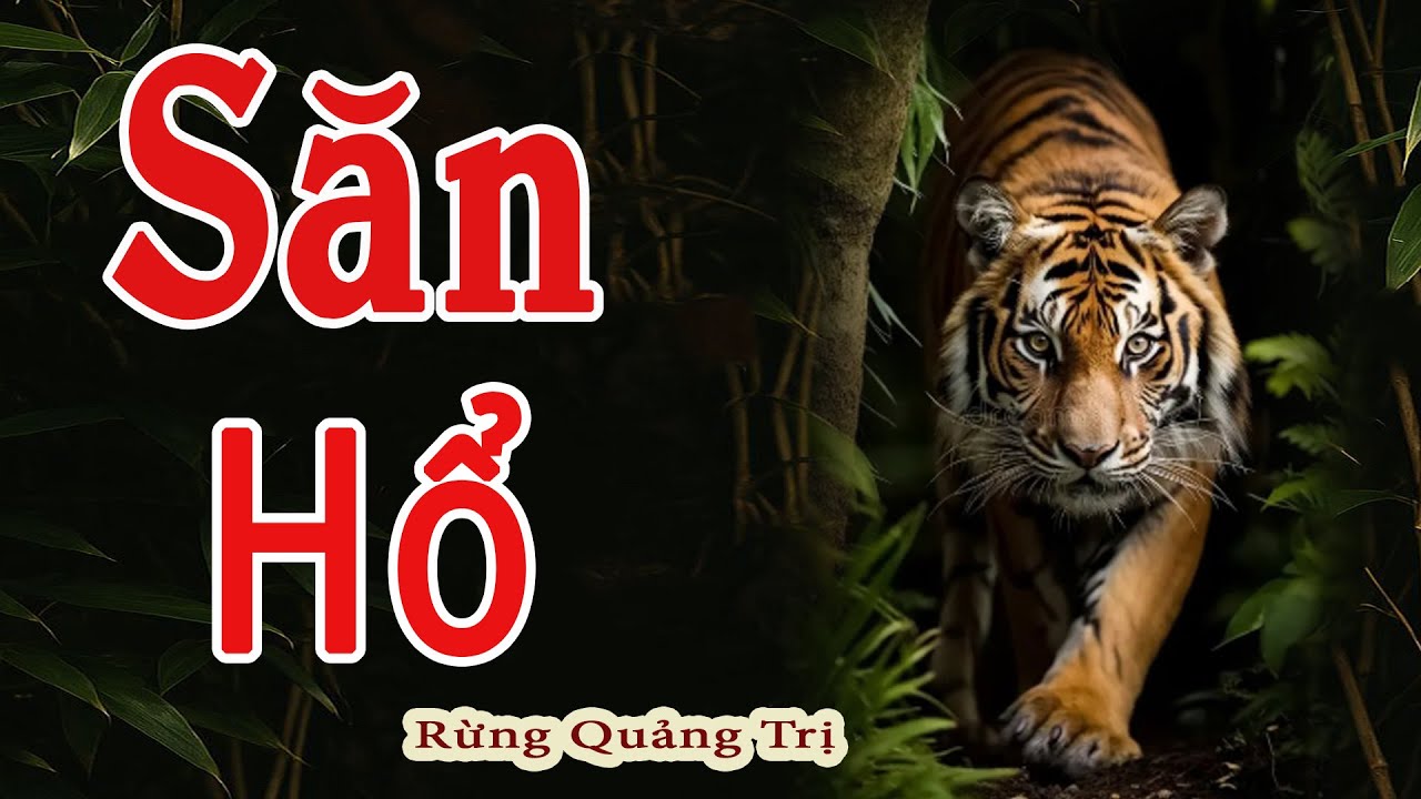 SĂN HỔ RỪNG QUẢNG TRỊ | Truyện Đường Rừng Về Săn Bắn Hổ Dữ Ở Rừng | Kênh Truyện Xưa