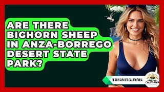 Are There Bighorn Sheep In Anza-Borrego Desert State Park? - Learn About California