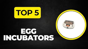 Top 5 Best Egg Incubators 2025 - (Best Egg Incubators Review & Comparision)