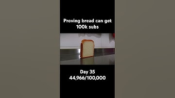 Proving bread can get 100k subs, Day 35 #bread #memes #shorts