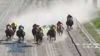 ASTIG PCSO TRIAL RUN WINNER!! #fypシ #viral #trending #horseracing #horseriding #horseracing