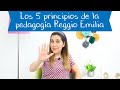 Los 5 principios de la pedagogía Reggio Emilia