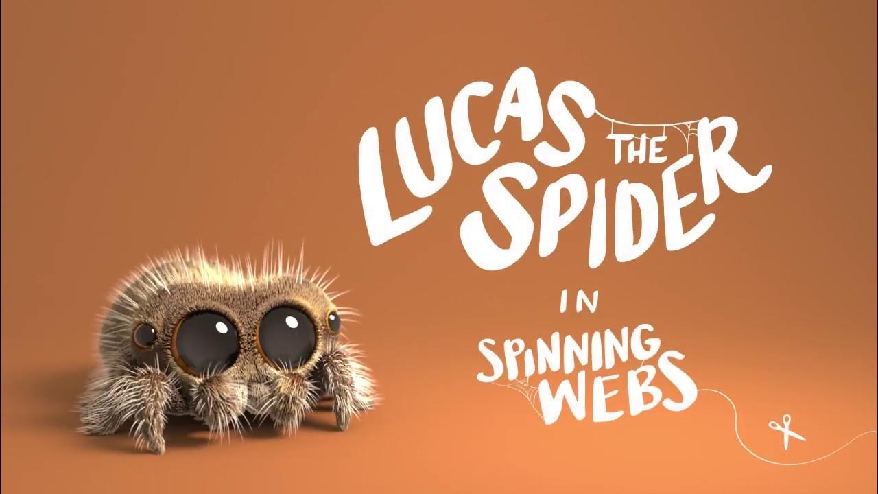 Паук лукас спайдер. Паук лукас спайдер. Паучок лукас арт. Lucas the spider. Паучок лукас.
