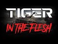 The Legendary Tiger in the flesh! | World of Tanks