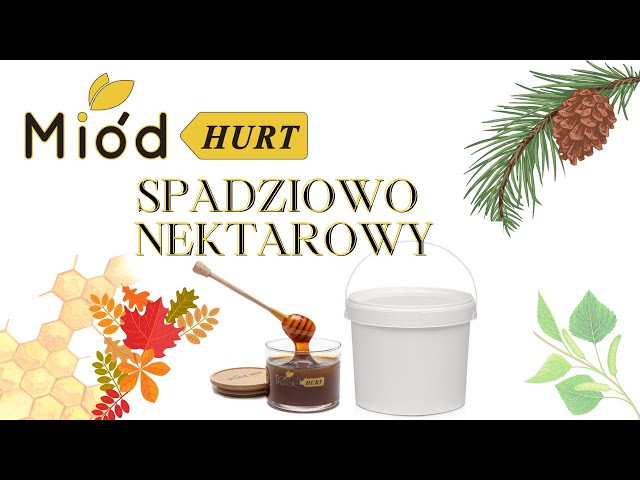 Miód Spadziowo - Nektarowy (słoik szklany 1,2 kg) - Karton 12 sztuk