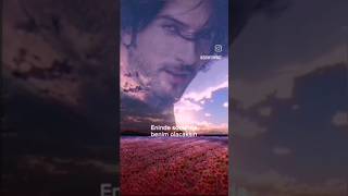 Tarkan - Gül Döktüm Yollarına Resimi