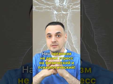 Наш организм не