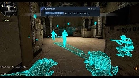 CS:GO First Overwatch Session