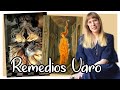 Remedios Varo - A Brief History of Female Artists
