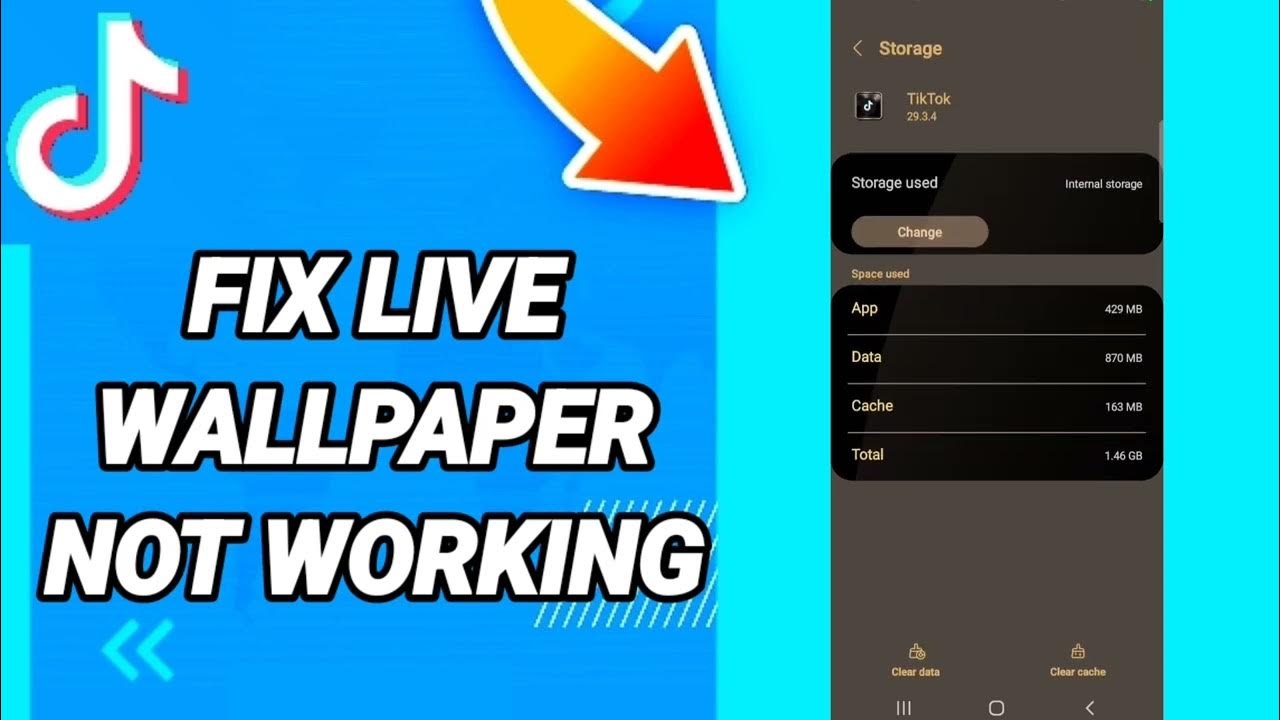 How To Fix live Wallpaper Not Working On TikTok App YouTube