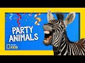 Animal Characteristics and Behaviors