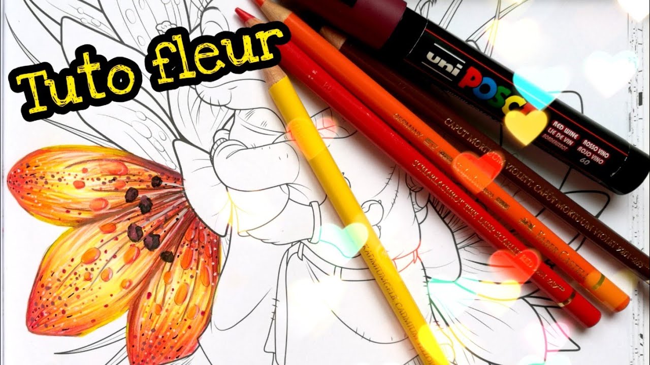 Tuto fleur : crayons de couleur. coloriage pour adulte 