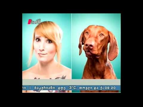 \"პიკის საათი\" 15.01.16   ემსგავსებიან თუ არა შინაური ცხოველები პატრონებს?