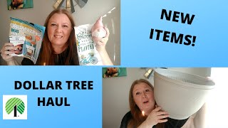 I LIKE BIG POTS AND I CANNOT LIE | 😂 | DOLLAR TREE HAUL | NEW ITEMS!