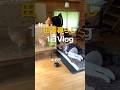 ムカデと同棲田舎暮らし【Vlog】
