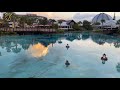 🔴LIVE STREAM: An Evening at Disney Springs! | Walt Disney World shopping and snacks!