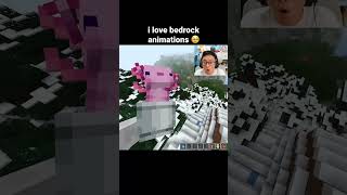 Minecraft Bedrock Animations Moment