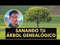 Sanando tu rbol genealgico