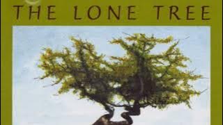 THE LONE TREE 🌲✨ Nigel shaw