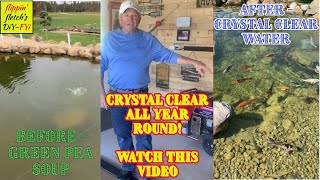 The Simple Way to Go From Pea Green Soup to Crystal Clear Pond Water