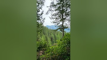 Short Meditation for Safe Space Video