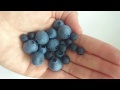 Как слепить чернику и голубику из холодного фарфора легко и просто. Blueberry from cold porcelaine.