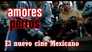 20 Años De Amores Perros Y El Nuevo Cine Mexicano
