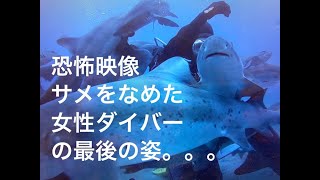 【恐怖映像】サメをなめていた女性ダイバーがサメにちょっかいを出した結末が壮絶。。