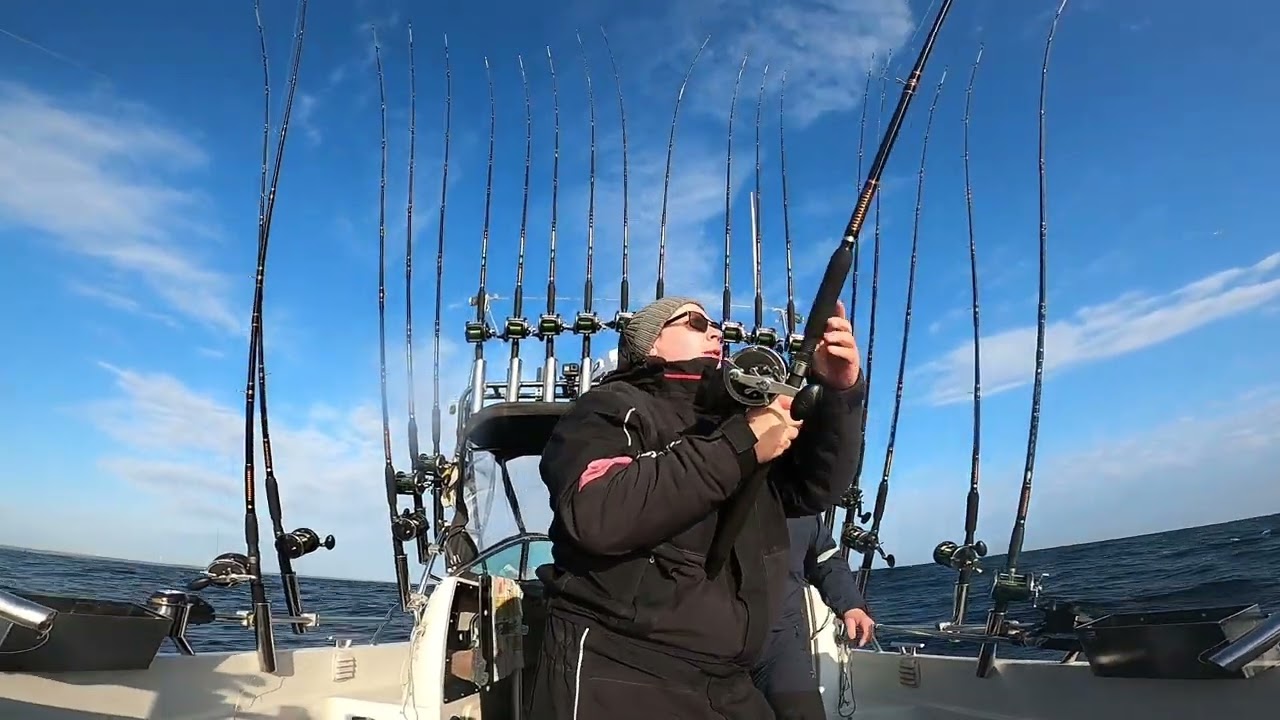 Vuosi 2025 lohireissut