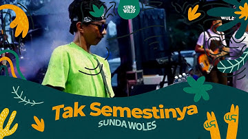 Sunda Woles - Tak Semestinya | Live