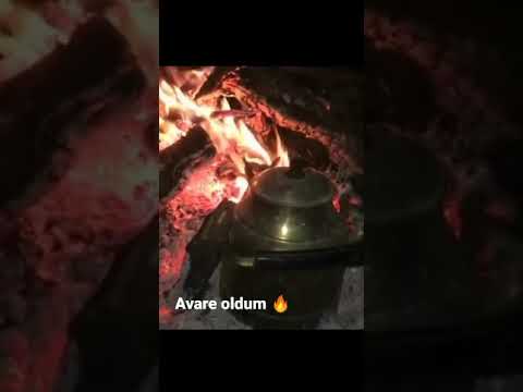 Ali Kınık Avare