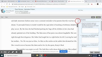 Peer Review in Turnitin.com