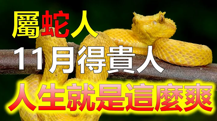 2024生肖运势，十二生肖属相蛇11月下旬得贵人相助，运程蒸蒸日上，如鱼得水！属蛇人是一个非常喜爱突破自我极限的人，属蛇人都不容易随便服输，属蛇人一直充满了拼劲，属蛇人拥有财气的扶持（生肖蛇） - 天天要闻