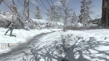 I Love The Commando [Array - HCTDM] Black Ops Gameplay