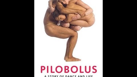 Pilobolus: A Story of Dance and Life...the full story of Pilobolus & its uncanny vitality.