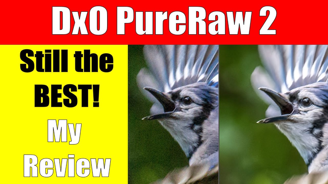 DxO PureRaw 2 Review - Reduce High ISO Noise, Correct Lens Defects, & Sharper Images! ep.382