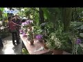 貴重なラン５００点競演  　筑波実験植物園 の動画、YouTube動画。