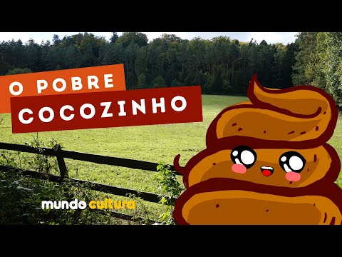 O POBRE COCOZINHO - HISTÓRIA CONTADA - CONTO DE ROSANE PAMPLONA