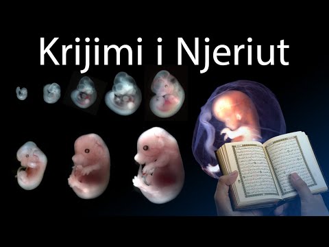 Video: Cila fazë riintegrimi e lëviz personin e shëruar?