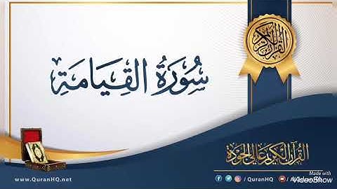 صلاح عثمان سورة القيامة - صلاة العشاء
