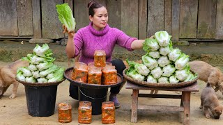 3 Days: How to Make Your Own Kimchi from Napa Cabbage  Harvest vegetable  Lý Thị Ca