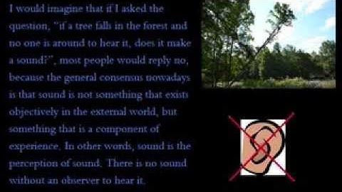 If a tree falls in the forest and no one is around to SEE it?