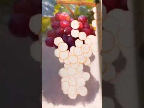 هر کسی نمی تواند بود من نقاشی اول این فیلم رو ببین بعد بگو من نقاشم به این میگن نقاش