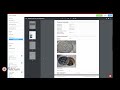 Field Data Collection with Fulcrum 🚶‍♂️