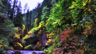 Music For Yoga Free Download