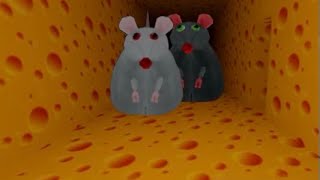 Escape the Cheese test!!!🐀🐁