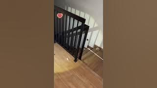 RUMAH 6 JAHANAM - LEMBAGA HANTU KEPALA HITAM MELINTAS | Paranormal DZP Dauz | SUARA PEREMPUAN NANGIS